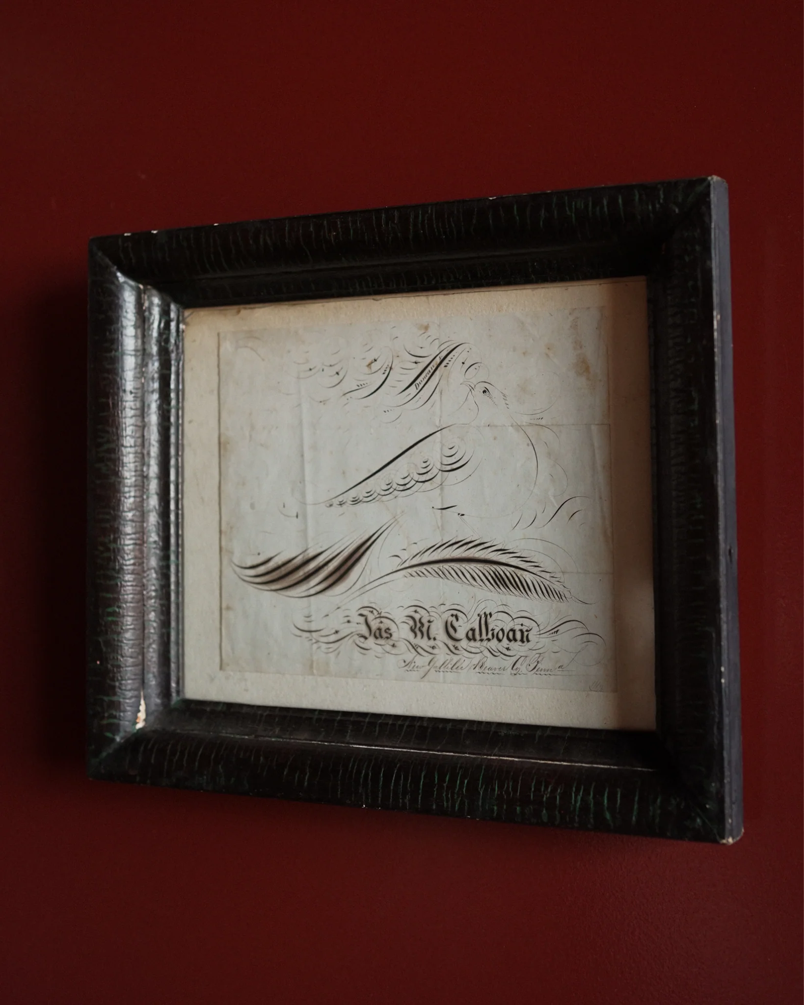 Dove Calligraphy Drawing - Image 2