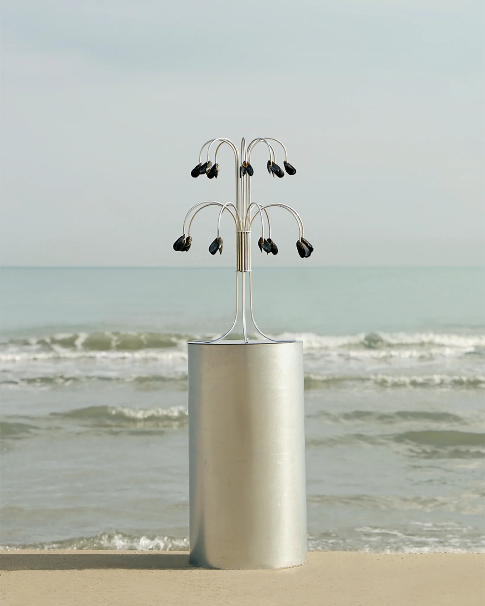 Shell Light - Image 2