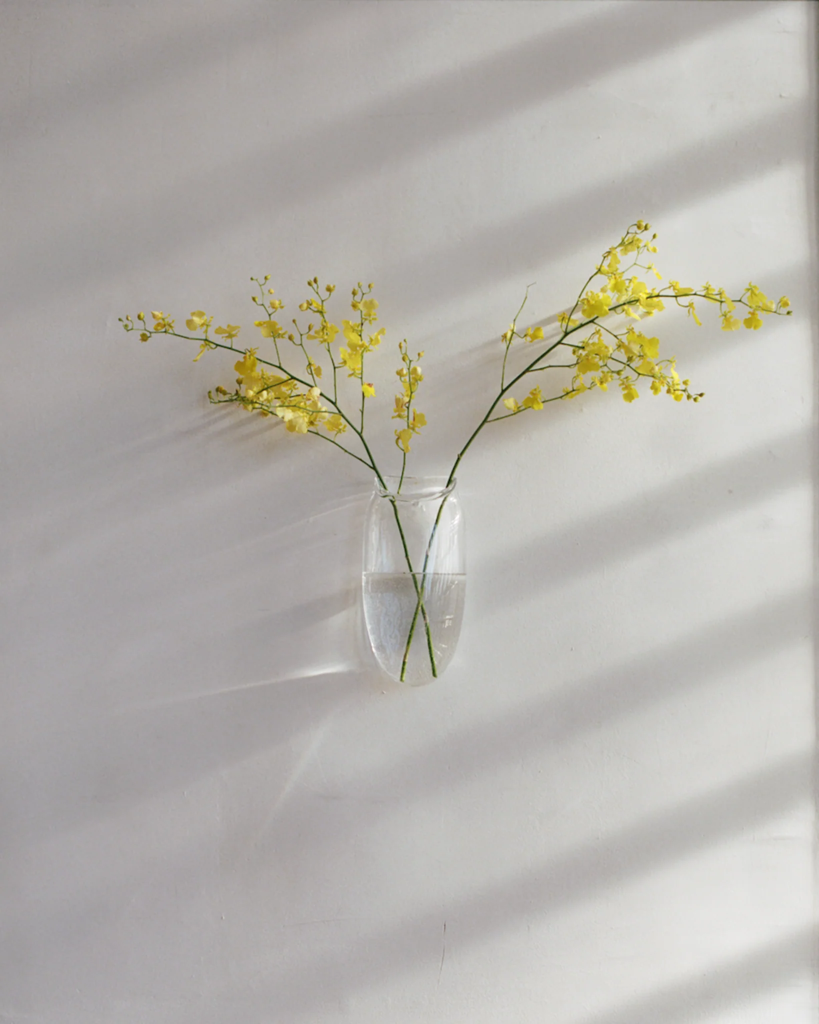 Wall Vase in Clear - Image 3
