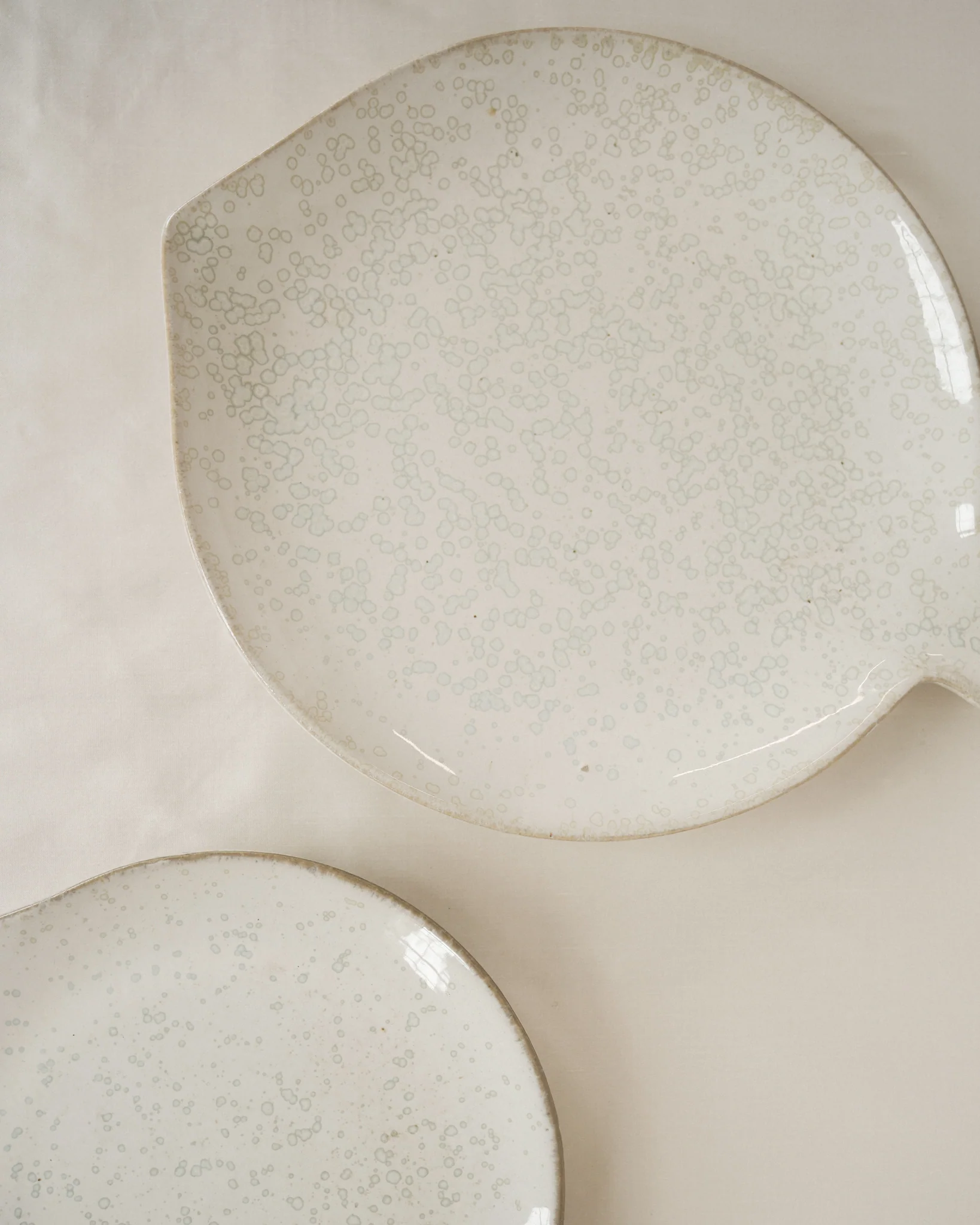 Speckled Fish Platters - Image 5